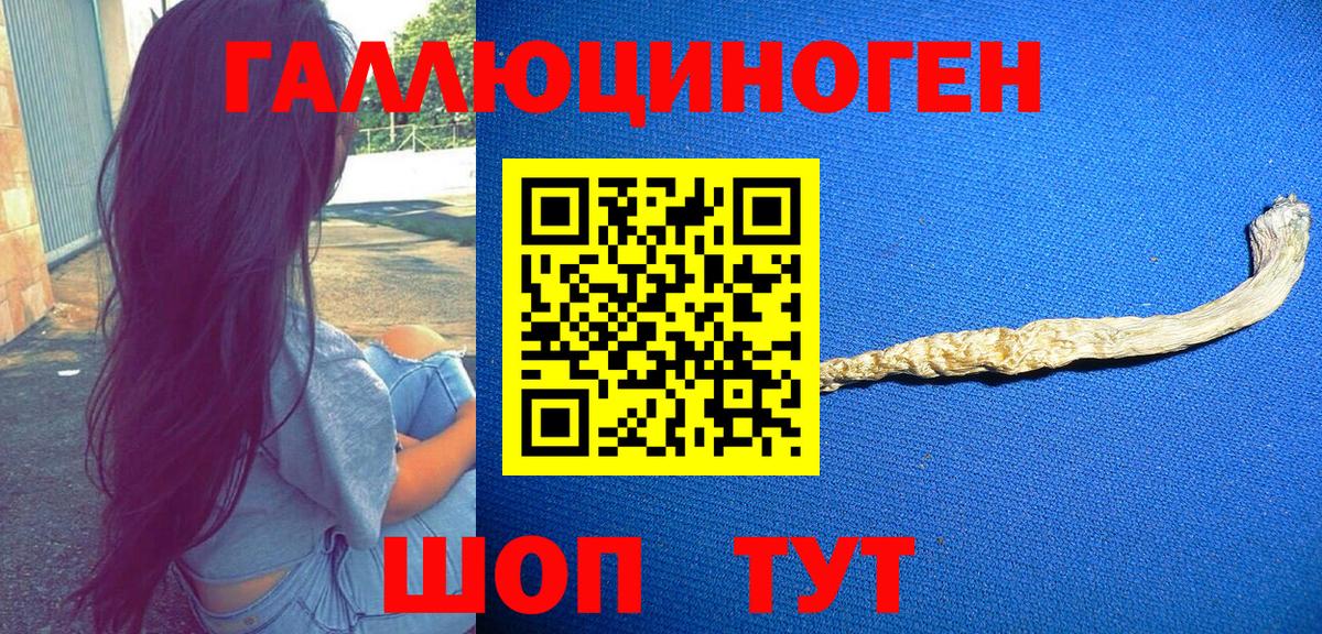 Псилоцибиновые грибы мицелий Котельники